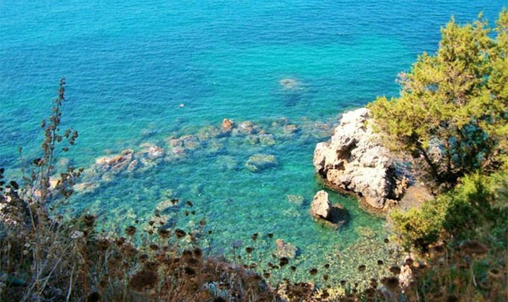 Talamone Apartment Δωμάτιο φωτογραφία